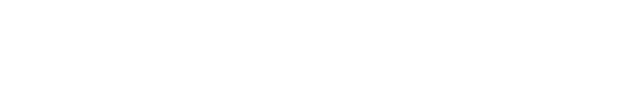 Saloon Anıl